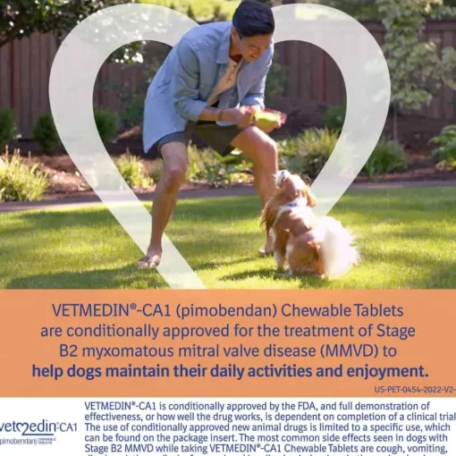 Discount Vetmedin -CA1