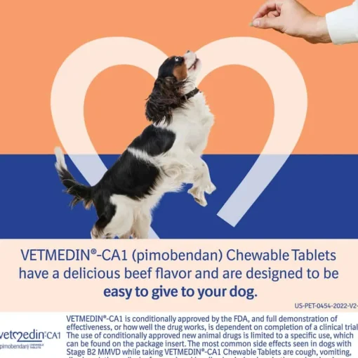 Discount Vetmedin -CA1