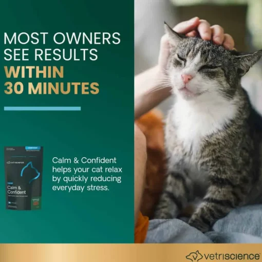 Hot VetriScience Composure Calm & Confident Vet Formulated Calming Supplement for Cats Chicken Flavor