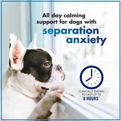 Online VetriScience Composure Long Lasting Calm & Confident Chews for Dogs