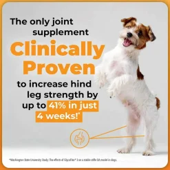 Hot GlycoFlex VetriScience Stage 3 Hip and Joint Supplement Chews for Dogs