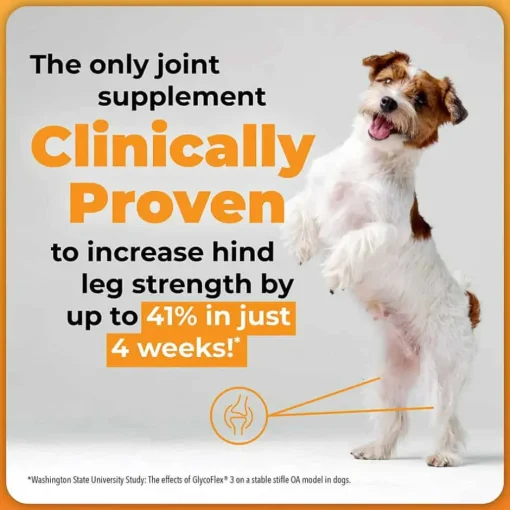 Hot GlycoFlex VetriScience Stage 3 Hip and Joint Supplement Chews for Dogs