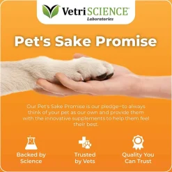 Hot GlycoFlex VetriScience Stage 3 Hip and Joint Supplement Chews for Dogs