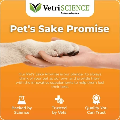 Hot GlycoFlex VetriScience Stage 3 Hip and Joint Supplement Chews for Dogs