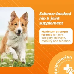 Fashion GlycoFlex VetriScience Stage 3 Hip and Joint Supplement Chewable Tablet for Dogs