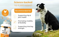Fashion GlycoFlex VetriScience Stage 3 Hip and Joint Supplement Chewable Tablet for Dogs