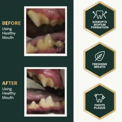 Outlet VetriScience Healthy Mouth Dental Care Powder for Cats and Dogs