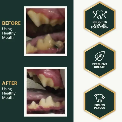 Outlet VetriScience Healthy Mouth Dental Care Powder for Cats and Dogs