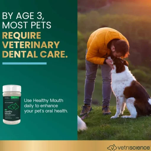 Outlet VetriScience Healthy Mouth Dental Care Powder for Cats and Dogs