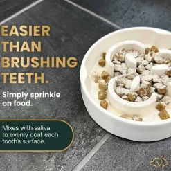 Outlet VetriScience Healthy Mouth Dental Care Powder for Cats and Dogs