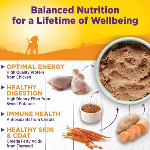 Fashion Wellness Complete Health Wellness Complete Chicken & Salmon for Puppies