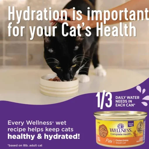 New Wellness Complete Health Natural Grain Free Chicken Entree Pate Wet Cat Food