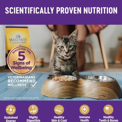 New Wellness Complete Health Natural Grain Free Chicken Entree Pate Wet Cat Food