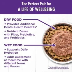 New Wellness Complete Health Natural Grain Free Chicken Entree Pate Wet Cat Food