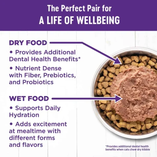 New Wellness Complete Health Natural Grain Free Chicken Entree Pate Wet Cat Food