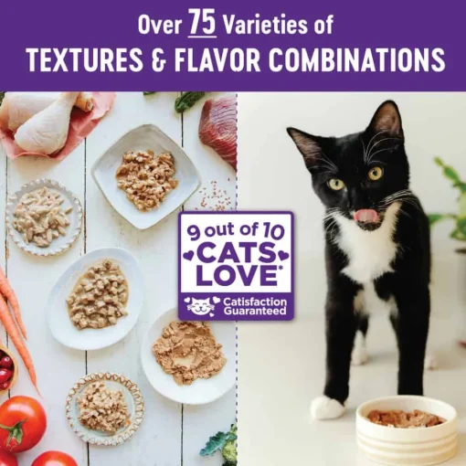 New Wellness Complete Health Natural Grain Free Chicken Entree Pate Wet Cat Food