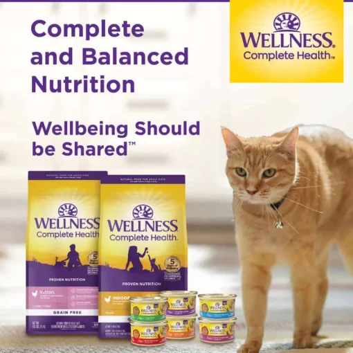 New Wellness Complete Health Natural Grain Free Chicken Entree Pate Wet Cat Food