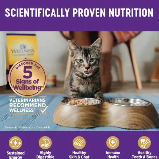 Fashion Wellness Complete Health Natural Grain Free Minced Turkey Entree Canned Wet Cat Food