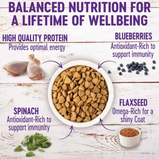 Best Wellness Complete Health Large Breed Adult Deboned Chicken & Brown Rice Recipe Dry Dog Food