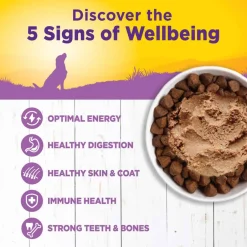 New Wellness Complete Health Natural Age Advantage Chicken & Sweet Potato Canned Wet Dog Food