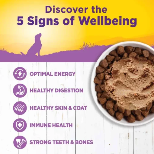New Wellness Complete Health Natural Age Advantage Chicken & Sweet Potato Canned Wet Dog Food