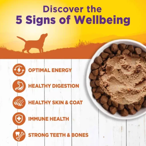 Hot Wellness Complete Health Natural Canned Turkey & Sweet Potato Wet Dog Food