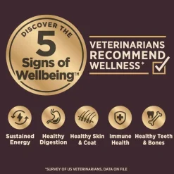 Outlet Wellness CORE Digestive Health Whitefish & Brown Rice Dry Dog Food