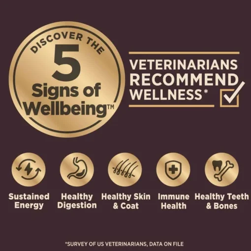 Outlet Wellness CORE Digestive Health Whitefish & Brown Rice Dry Dog Food