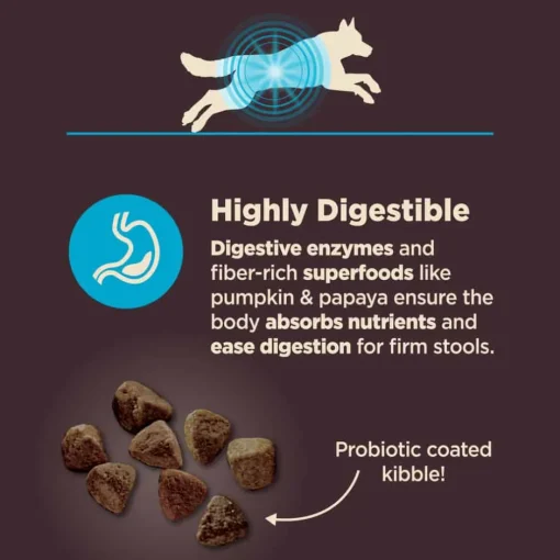 Outlet Wellness CORE Digestive Health Whitefish & Brown Rice Dry Dog Food