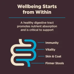 Outlet Wellness CORE Digestive Health Whitefish & Brown Rice Dry Dog Food