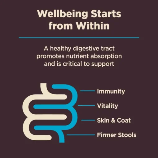Outlet Wellness CORE Digestive Health Whitefish & Brown Rice Dry Dog Food