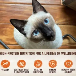 Best Wellness CORE Grain Free Chicken Tuna