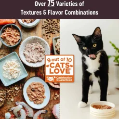 Clearance Wellness CORE Hearty Cuts Natural Grain Free Indoor Chicken & Turkey Canned Wet Cat Food