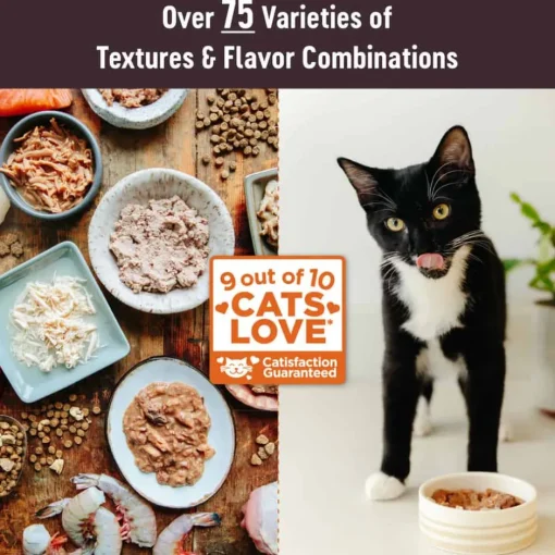 Clearance Wellness CORE Hearty Cuts Natural Grain Free Indoor Chicken & Turkey Canned Wet Cat Food