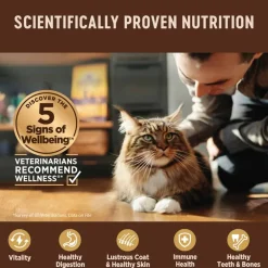 Clearance Wellness CORE Hearty Cuts Natural Grain Free Indoor Chicken & Turkey Canned Wet Cat Food