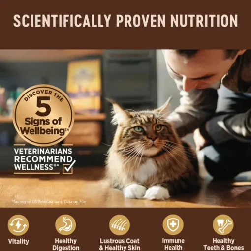 Clearance Wellness CORE Hearty Cuts Natural Grain Free Indoor Chicken & Turkey Canned Wet Cat Food