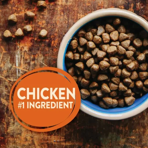 New Wellness CORE Natural Grain Free Large Breed Dry Dog Food