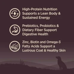 Hot Wellness CORE Natural Wholesome Grains Original Recipe Dry Dog Food