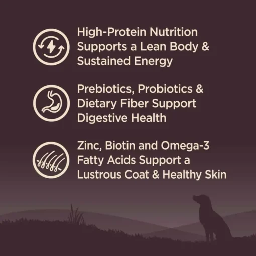 Hot Wellness CORE Natural Wholesome Grains Original Recipe Dry Dog Food