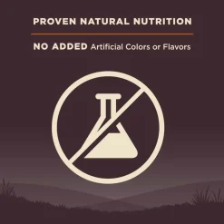 Hot Wellness CORE Natural Wholesome Grains Original Recipe Dry Dog Food