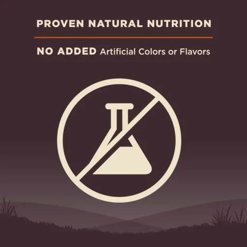 Hot Wellness CORE Natural Wholesome Grains Original Recipe Dry Dog Food