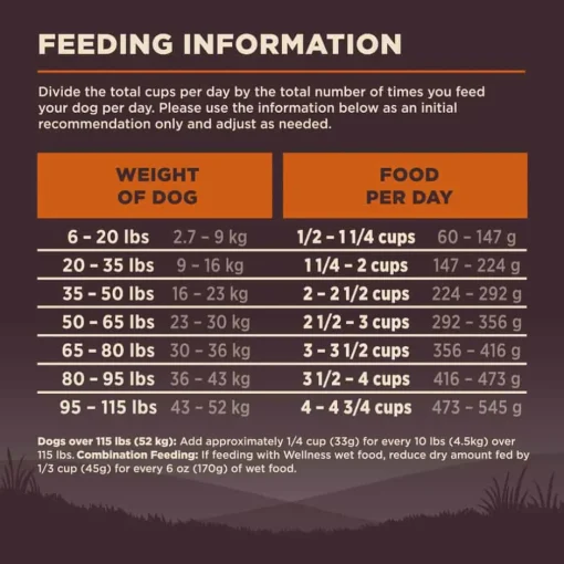 Hot Wellness CORE Natural Wholesome Grains Original Recipe Dry Dog Food
