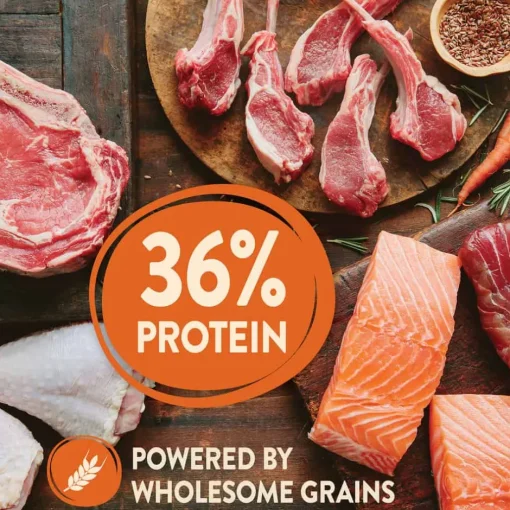 Hot Wellness CORE Natural Wholesome Grains Puppy Recipe Dry Dog Food
