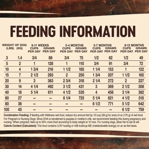 Hot Wellness CORE Natural Wholesome Grains Puppy Recipe Dry Dog Food