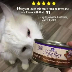 New Wellness CORE Signature Selects Shredded Chicken & Turkey Wet Cat Food