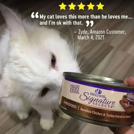 New Wellness CORE Signature Selects Shredded Chicken & Turkey Wet Cat Food