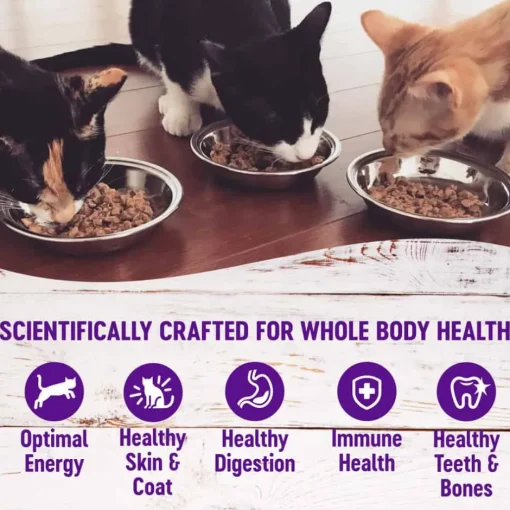 Hot Wellness Complete Health Wellness Grain Free Cubed Tuna Entree