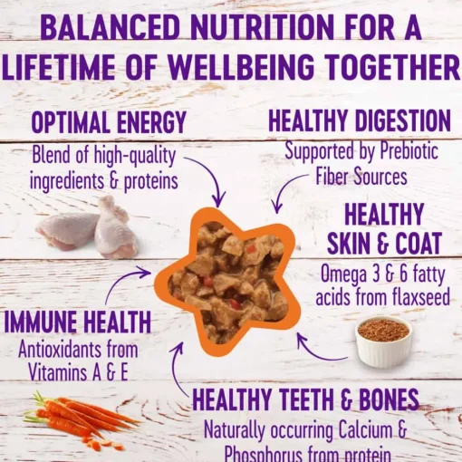 Discount Wellness Complete Health Wellness Grain Free Minced Chicken Dinner
