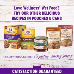 Best Wellness Complete Health Wellness Grain Free Minced Turkey Salmon Entree