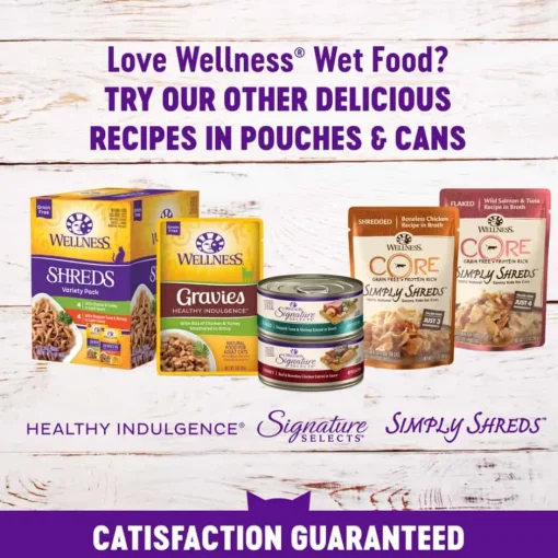 Best Wellness Complete Health Wellness Grain Free Minced Turkey Salmon Entree